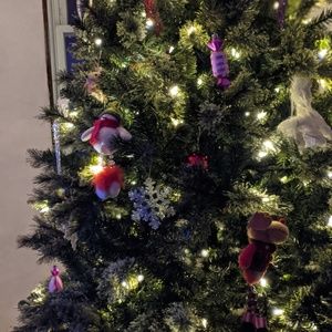 Meet your Posher, Lesley